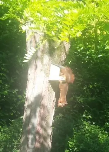 Couette-café Eikendreef 3*